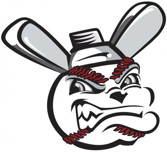 Wichita Wingnuts 2008-Pres Secondary Logo iron on transfers for clothing